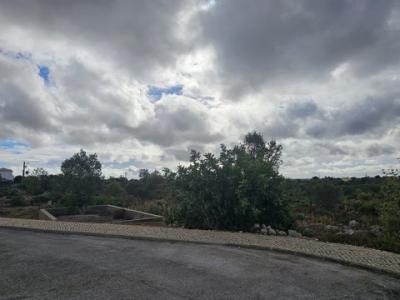 Acheter Terrain 12120 m2 Olhao