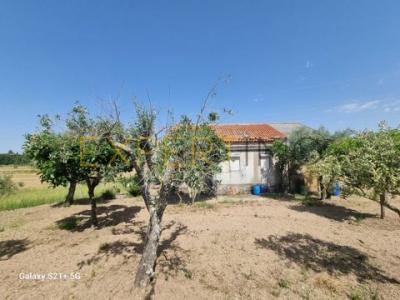 Annonce Vente Maison Gouveia