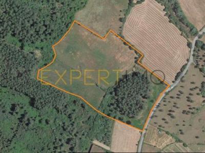 Annonce Vente Maison Guarda