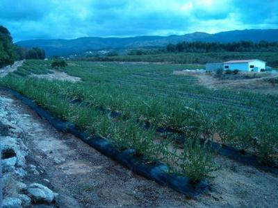 Annonce Vente Maison Moimenta-da-serra