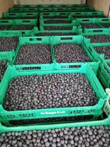 Acheter Maison Moimenta-da-serra rgion GUARDA