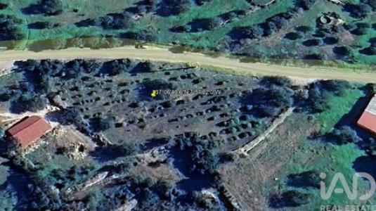 Acheter Terrain 3840 m2 Faro