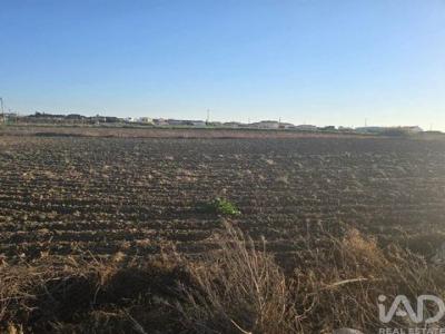 Annonce Vente Terrain Alto-foz