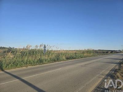 Acheter Terrain 2000 m2 Alto-foz