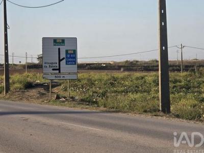 Acheter Terrain Alto-foz rgion LEIRIA