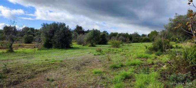 Annonce Vente Terrain Loule