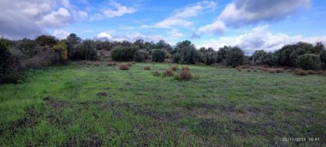 Acheter Terrain Loule rgion FARO