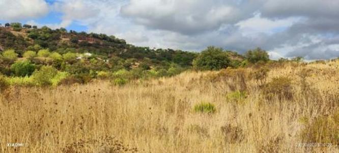 Acheter Terrain Loule rgion FARO