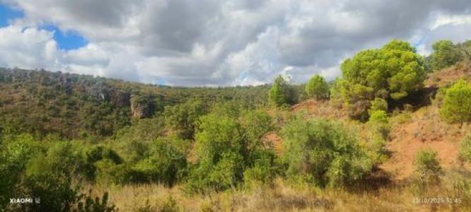 Annonce Vente Terrain Loule