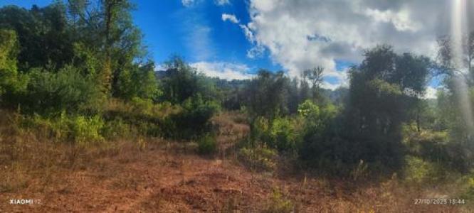 Acheter Terrain 5000 m2 Loule