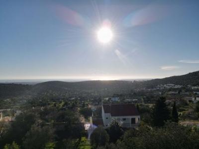 Annonce Vente Terrain Loule