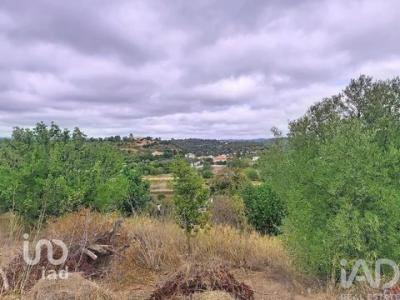Acheter Maison Loule rgion FARO