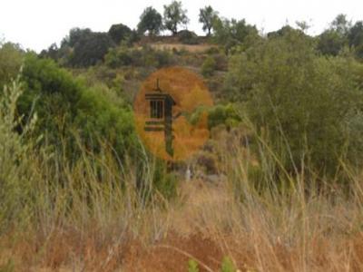 Acheter Terrain 3170 m2 Tavira