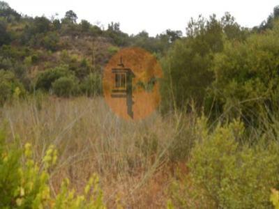 Acheter Terrain Tavira rgion FARO