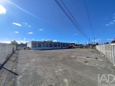 Acheter Local industriel 210 m2 Azambuja