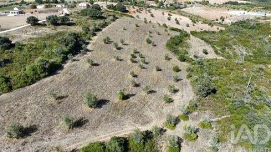 Annonce Vente Terrain Santarem