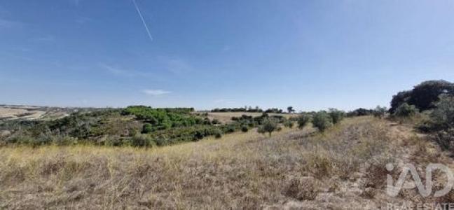 Acheter Terrain 17600 m2 Santarem