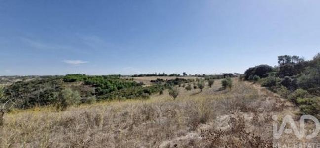 Acheter Terrain Santarem rgion SANTAREM