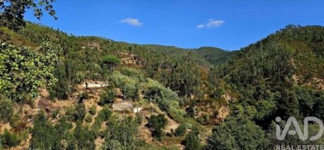 Annonce Vente Terrain Monchique