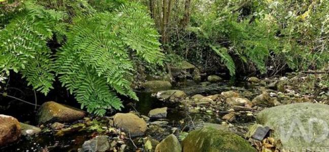 Acheter Terrain 22800 m2 Monchique