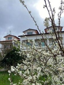 Annonce Vente Immeuble Tabua