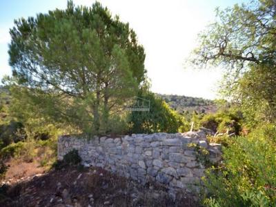 Vente Terrain Loule  08 au Portugal