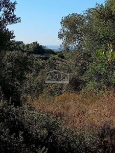 Acheter Terrain 963 m2 Loule