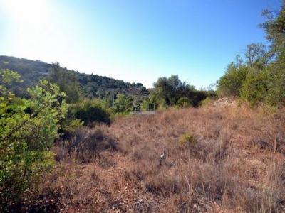 Acheter Terrain Loule rgion FARO