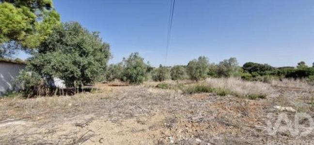 Acheter Terrain 12080 m2 Rio-maior