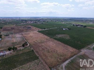 Acheter Terrain 30000 m2 Palmela