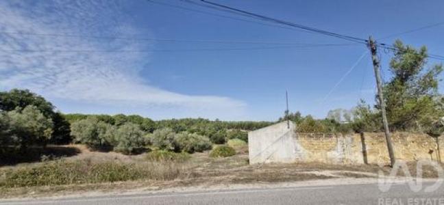 Acheter Maison 42 m2 Rio-maior