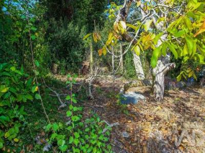 Acheter Maison Alenquer rgion LISBOA