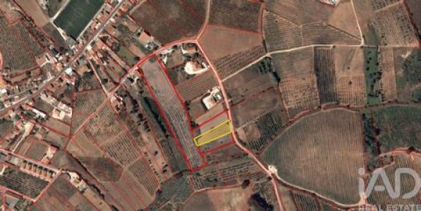 Vente Terrain Cadaval CADAVAL-E-PARO-MONIZ 11 au Portugal