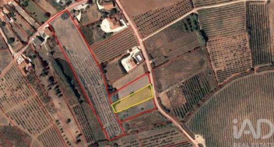 Annonce Vente Terrain Cadaval