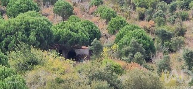 Annonce Vente Terrain Mafra