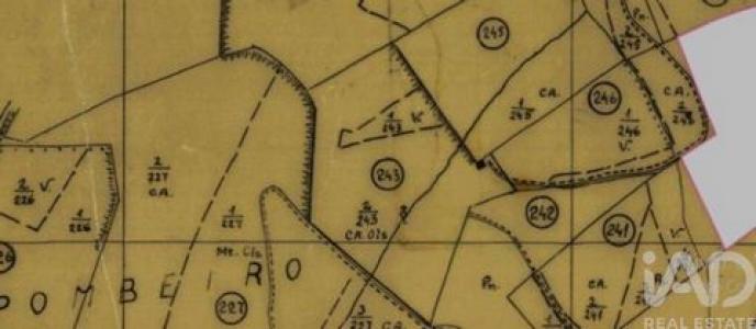 Acheter Terrain Mafra rgion LISBOA