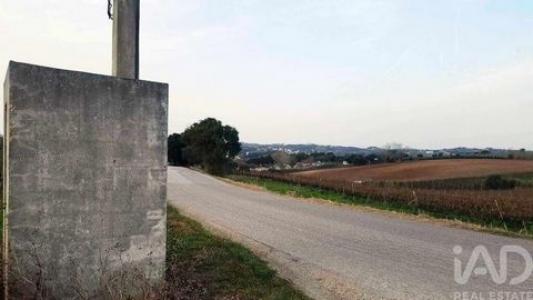 Acheter Terrain Bombarral rgion LEIRIA