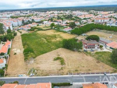 Annonce Vente Terrain Marinha-grande