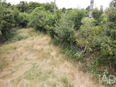 Acheter Terrain Agua-de-pau rgion ACORES