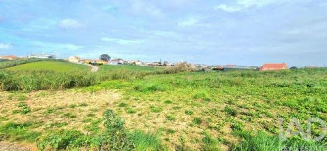 Vente Terrain Amoreiras ERICEIRA 11 au Portugal