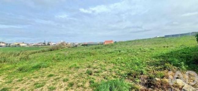 Annonce Vente Terrain Amoreiras