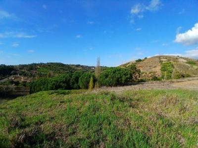 Annonce Vente Terrain Mafra