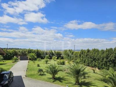 Acheter Maison 172 m2 Montijo