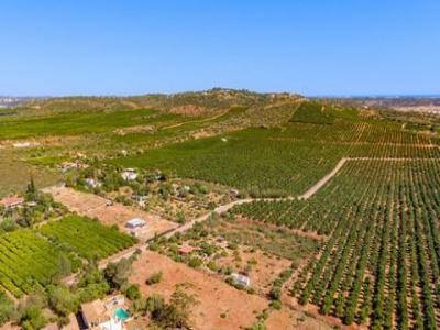 Acheter Maison 588 m2 Algoz