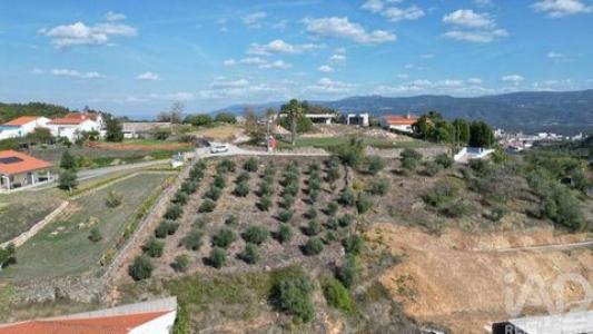 Annonce Vente Terrain Penela