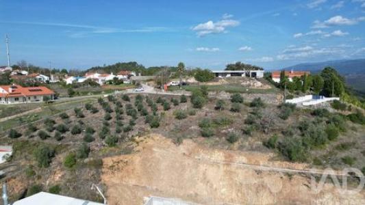 Acheter Terrain 1750 m2 Penela