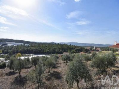 Acheter Terrain Penela rgion COIMBRA