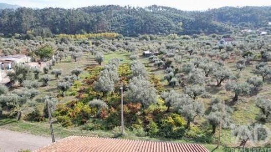 Annonce Vente Terrain Penela