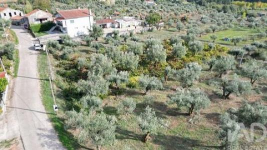 Acheter Terrain 3149 m2 Penela