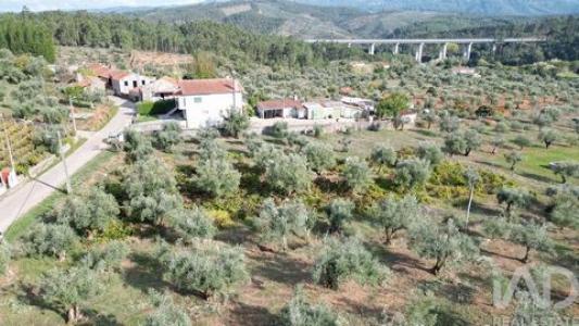 Acheter Terrain Penela rgion COIMBRA